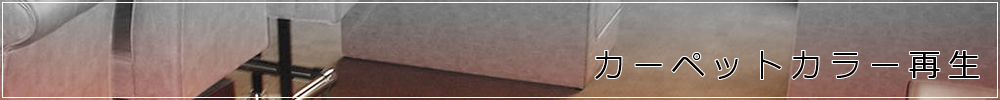 カーペットカラー再生