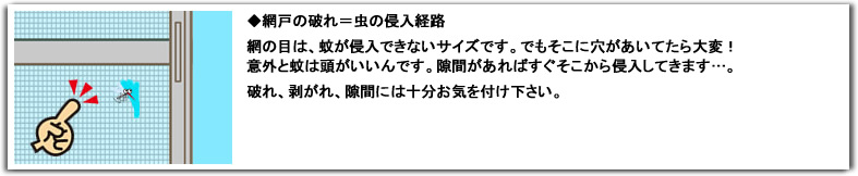 �Ԍ˂̓��m��