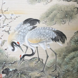 高尾 51番 高級織物