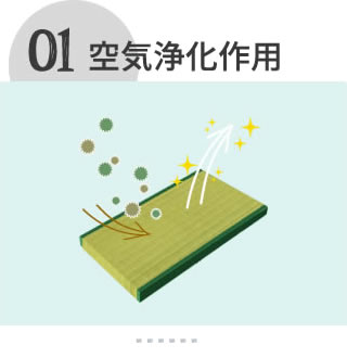 空気浄化作用