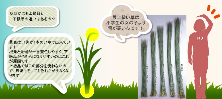 ������ɂ���