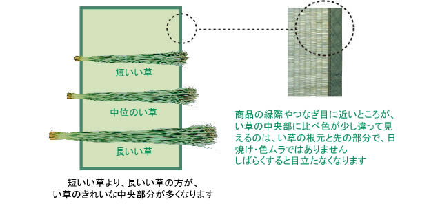 �����E���̂�����̌�������