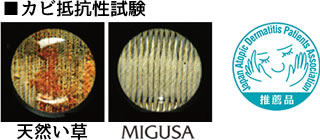 カビ抵抗性試験