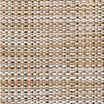 ���t�F�C�X�� P-003