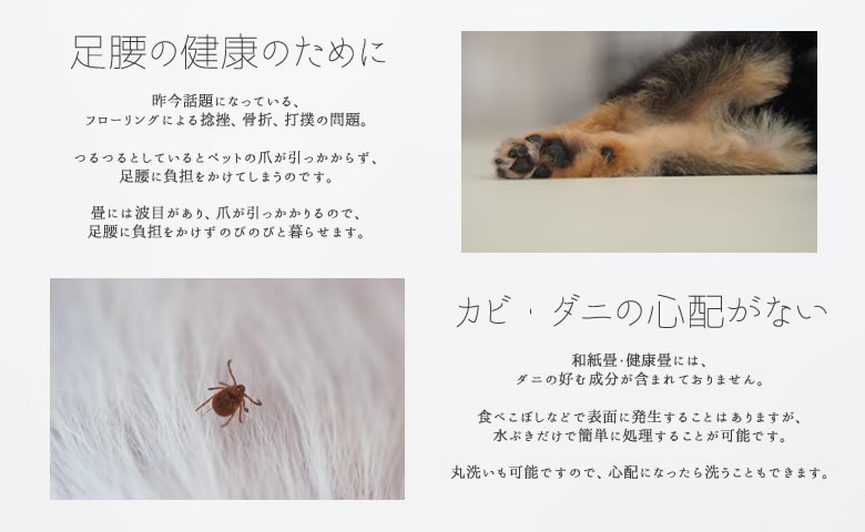 �����̌��N�̂��߁@�J�r�A�_�j�̐S�z���Ȃ�