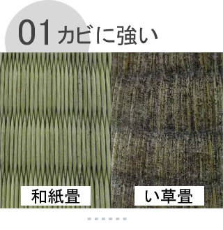 �J�r�ɋ���