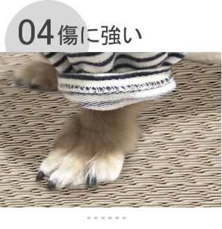 ���ɋ���