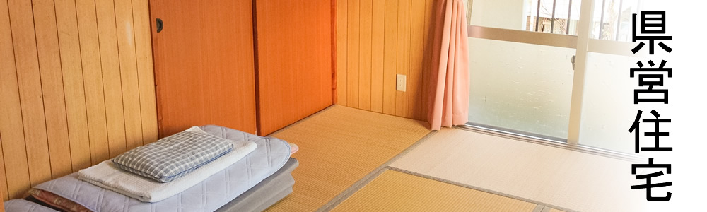 ���c�Z��