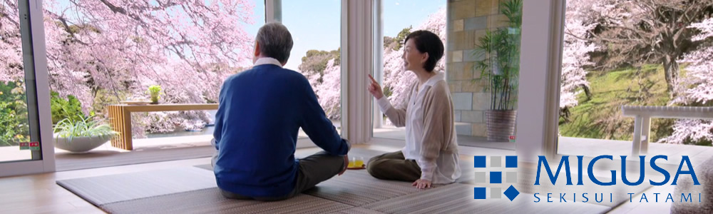 SEKISUI MIGUSA